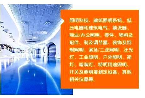 照明科技、建筑照明系统、低压电器和建筑电气、镇流器、商业/办公照明、零件、物料及配件、制及调节器、装饰及特制照明、紧急/工业照明、泛光灯、工业照明、户外照明、街灯、暗装灯、特明用途照明、开关及照明度测定设备、其他相关仪器等。